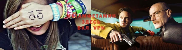 прущие грибы Киренск
