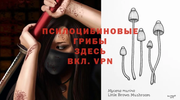 прущие грибы Киреевск
