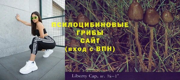 прущие грибы Киренск