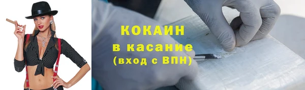 прущие грибы Киреевск
