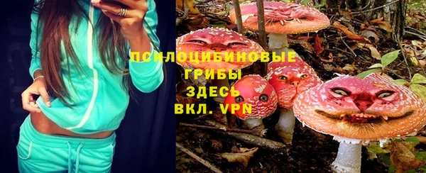 прущие грибы Киреевск