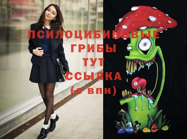 прущие грибы Киреевск