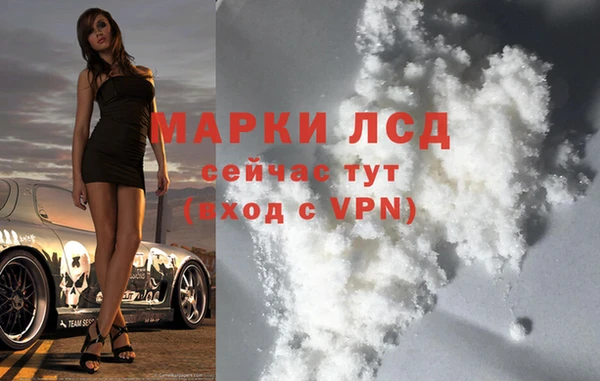 прущие грибы Киренск