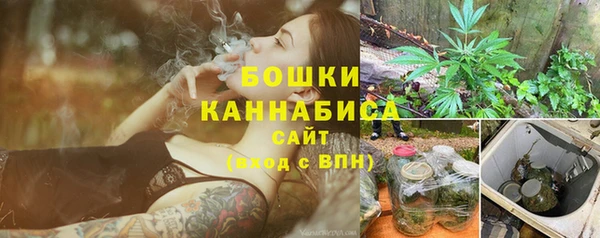 прущие грибы Киренск