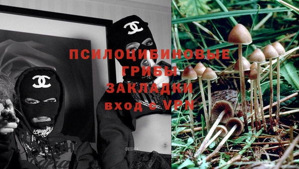 прущие грибы Киреевск